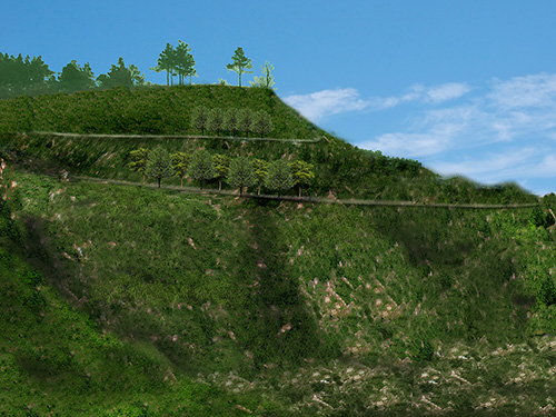 龍山鄉山體修復